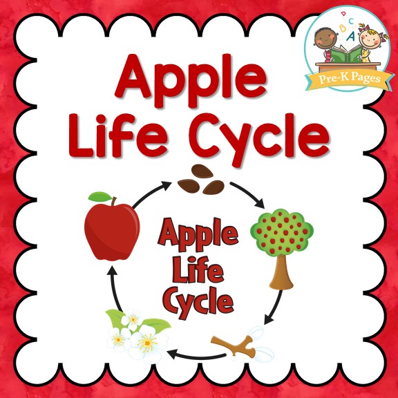 apple-life-cycle-pre-k-pages